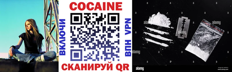 КОКАИН FishScale  дарк нет формула  Дудинка 