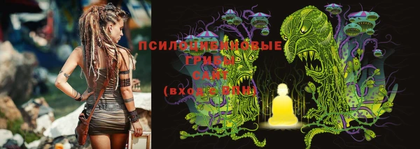 герыч Алзамай
