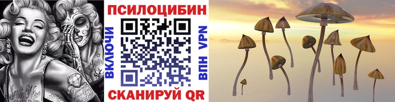 Псилоцибиновые грибы Cubensis  Дудинка 